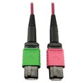 Tripp Lite Mmf Fbr Optic Cable 400G Om4 M, N846D-01M-16BMG N846D-01M-16BMG